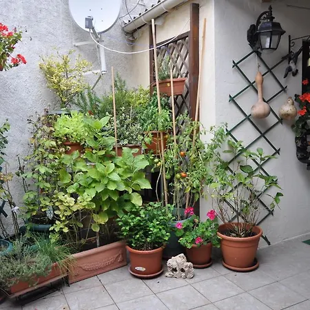 Chez Paulo Et Maria Bed & Breakfast